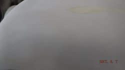 170807 54 Chevy Pickup (4).JPG